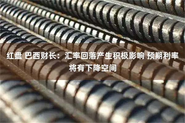 红盘 巴西财长：汇率回落产生积极影响 预期利率将有下降空间