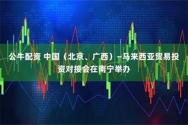 公牛配资 中国（北京、广西）—马来西亚贸易投资对接会在南宁举办