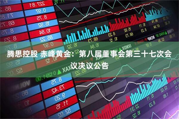 腾思控股 赤峰黄金：第八届董事会第三十七次会议决议公告