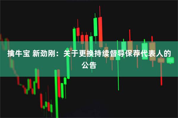 擒牛宝 新劲刚：关于更换持续督导保荐代表人的公告