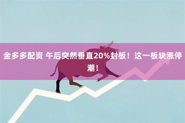 金多多配资 午后突然垂直20%封板！这一板块涨停潮！
