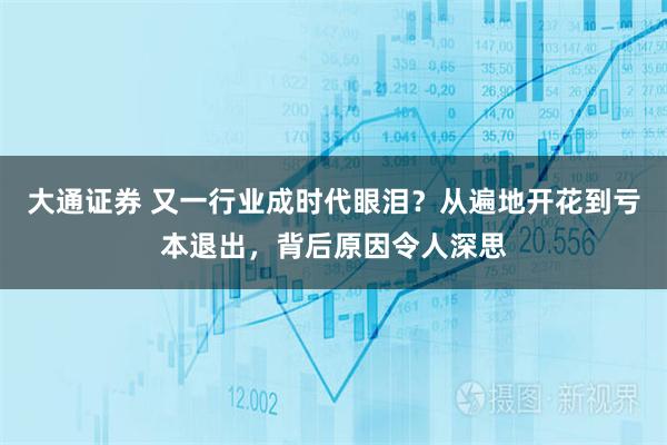 大通证券 又一行业成时代眼泪？从遍地开花到亏本退出，背后原因令人深思